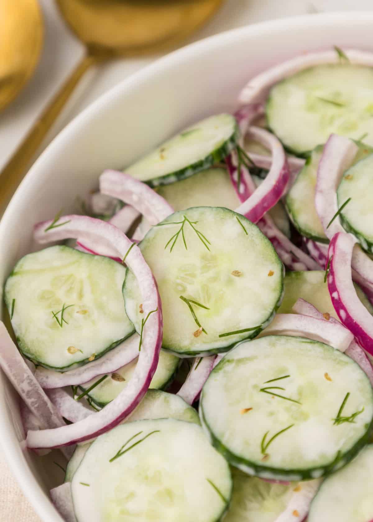 detailed shot of cucumber onion salad