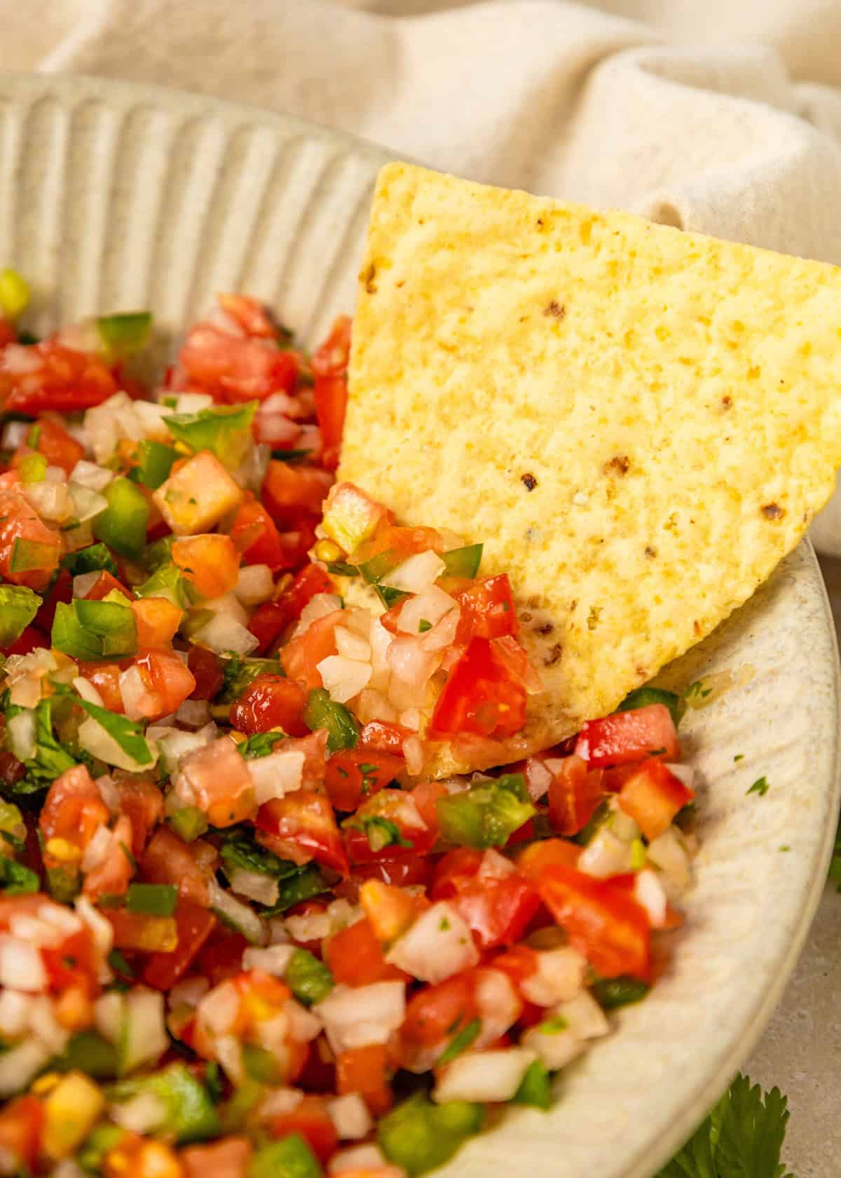 A tortilla chip dipped into fresh pico de gallo with diced tomatoes, onions, and peppers.